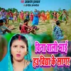 About Vina Wali Mai Hau Vidya Ke Sagar Song