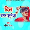 About Dil Hamar Jhumela Song