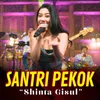 Santri Pekok