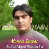 About Mohsin Dawar Song