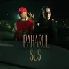 About Paharul sus Song