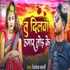 About Tu DIlwa Hamar Tor Ke Song