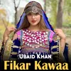 About Fikar Kawaa Song