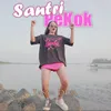 Santri Pekok