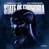 About State Of Euphoria Song
