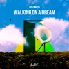 Walking on a dream