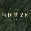 当我梦见你