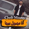 About أنا مهبول بيها Song