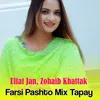 Farsi Pashto Mix Tapay