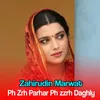 About Ph Zrh Parhar Ph zzrh Daghly Song