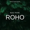 Roho