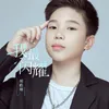 About 我最闪耀 Song