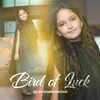 Bird Of Luck