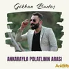 Ankarayla Polatlının Arası