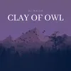 About Clay Of Owl Song