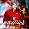 About Krushna Kaberi Song