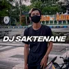 DJ SAKTENANE
