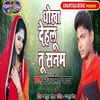 About Dhokha Tu Dihalu Sanam Song
