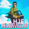 About Neobavezna Song