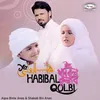 Ya Habibal Qolbi