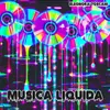 About Musica liquida Song