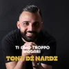 About Ti Amo Troppo Magari Song