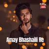 About Amay Bhashaili Re Song