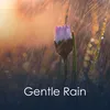 Rain's Flow: A Stream of Consciousness