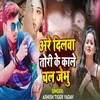 About Are Dilwa Tori Ke Kale Chal Jebhu Song