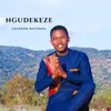 Ngudekeze