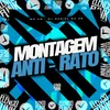 Montagem Anti - Rato