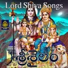 About Srisailam Song