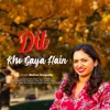About Dil Kho Gaha Hain Song