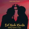 About Dil Nahi Karda Song