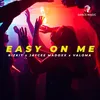 About Easy On Me Song