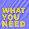 About What You Need Song