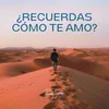 About ¿Recuerdas cómo te amo? Song