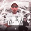 About Minha Lagrima é de Ódio Song