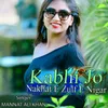 About Kabhi Jo Nakhat E Zulf E Nigar Song