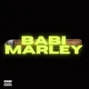 About Babi marley Song