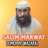 About Domra Me Wazaral Song