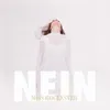 About NEIN Song