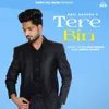 About Tere Bin Song