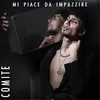 About Mi piace da impazzire Song