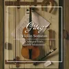 Violin Sonata No. 1, Op. 8: I. Allegro con brio - Andante - Tempo I - Più animato - Andante
