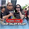 About Ikan Dalam Kolam Song