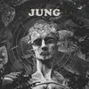 About Jung Song