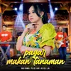 About Pagar Makan Tanaman Song