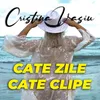 About Cate Zile, Cate Clipe Song