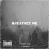 About Breathes me Song